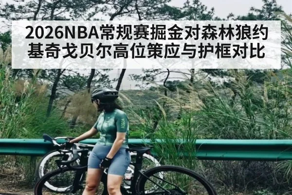 2026NBA常规赛掘金对森林狼约基奇戈贝尔高位策应与护框对比