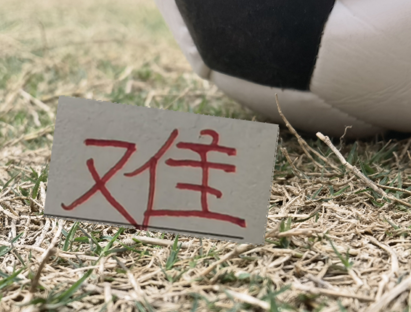 疲劳度加满!再加遇旧人徐新 卫冕冠军周末战云南 能避免两连败吗
